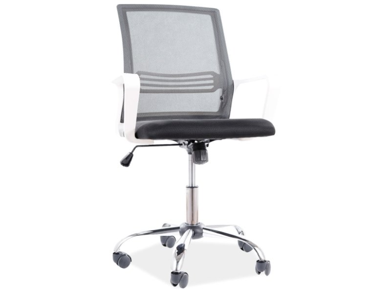 Biuro kėdė Q-844, juoda/balta - 1