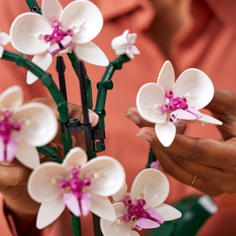 Konstruktorius LEGO Botanicals Orchid, 10311 - ermitazas.lt