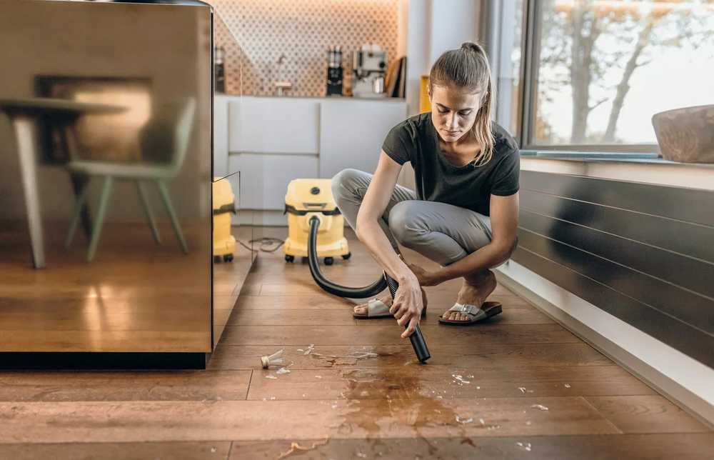 Dulkių siurblys KARCHER WD 2 Plus - 4