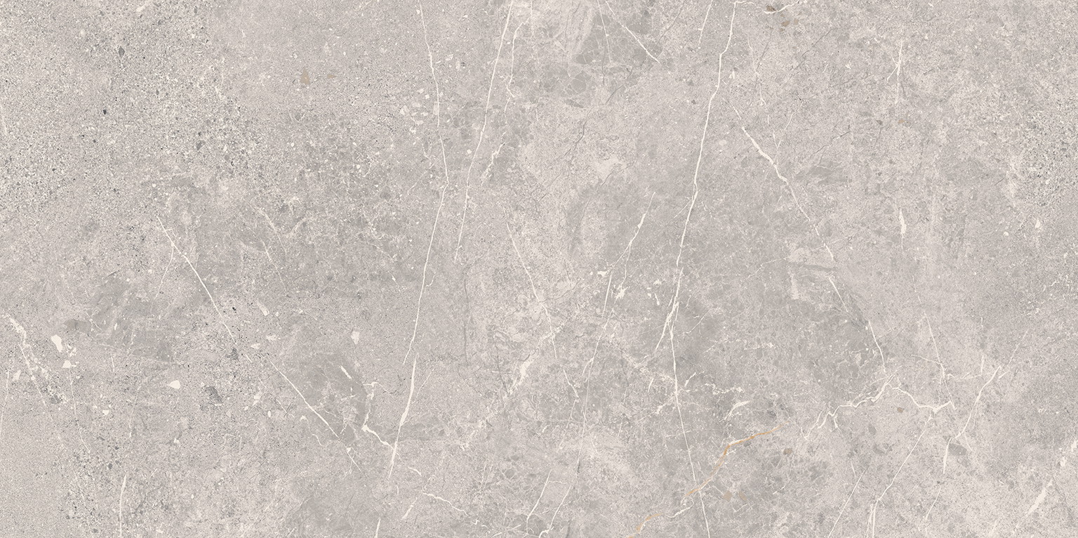 Akmens masės plytelės COLDY GREY matinės rekt., 59,8 x 119,8 cm-0