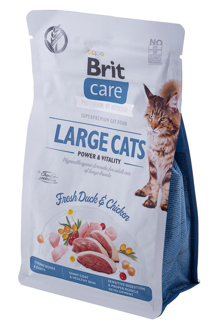 Sausas ėdalas katėms Brit Care Cat GF Large cats Power&Vitality, 0,4 kg-1