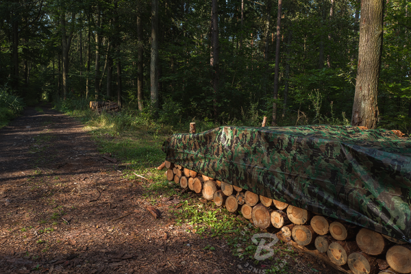 Kamufliažinis lauko tentas Bradas CAMOforest, 6 x 8 m, 90 g/m² - 5