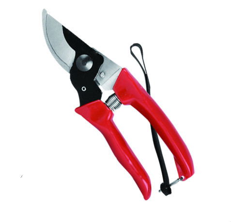 Sekatorius, 16 cm, iki 10 mm storio