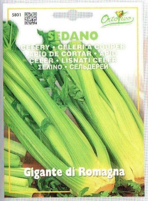 Salierų sėklos GIGANTE DI ROMAGNA, 2 g