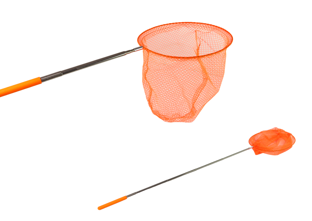 Rotango Tinklelis Tinklelis drugeliams gaudyti su teleskopine rankena, 85 cm, oranžinis ...