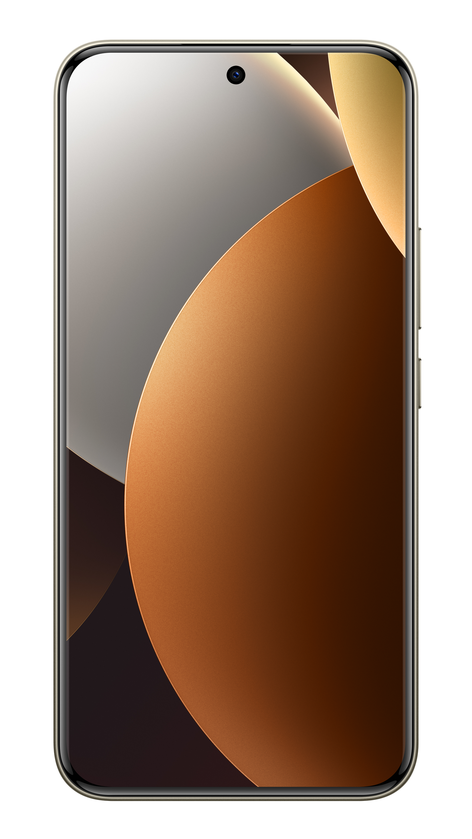 Mobilusis telefonas Xiaomi Redmi Note 15 Pro+ 5G, 256GB, ruda-1