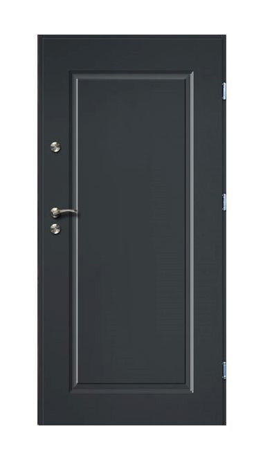 Lauko durys RADEX SQUARE, antracito sp., 1000 x 2072 mm, dešinė-0
