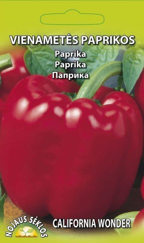 Raudonųjų paprikų CALIFORNIA WONDER sėklos, 0,3 g-0