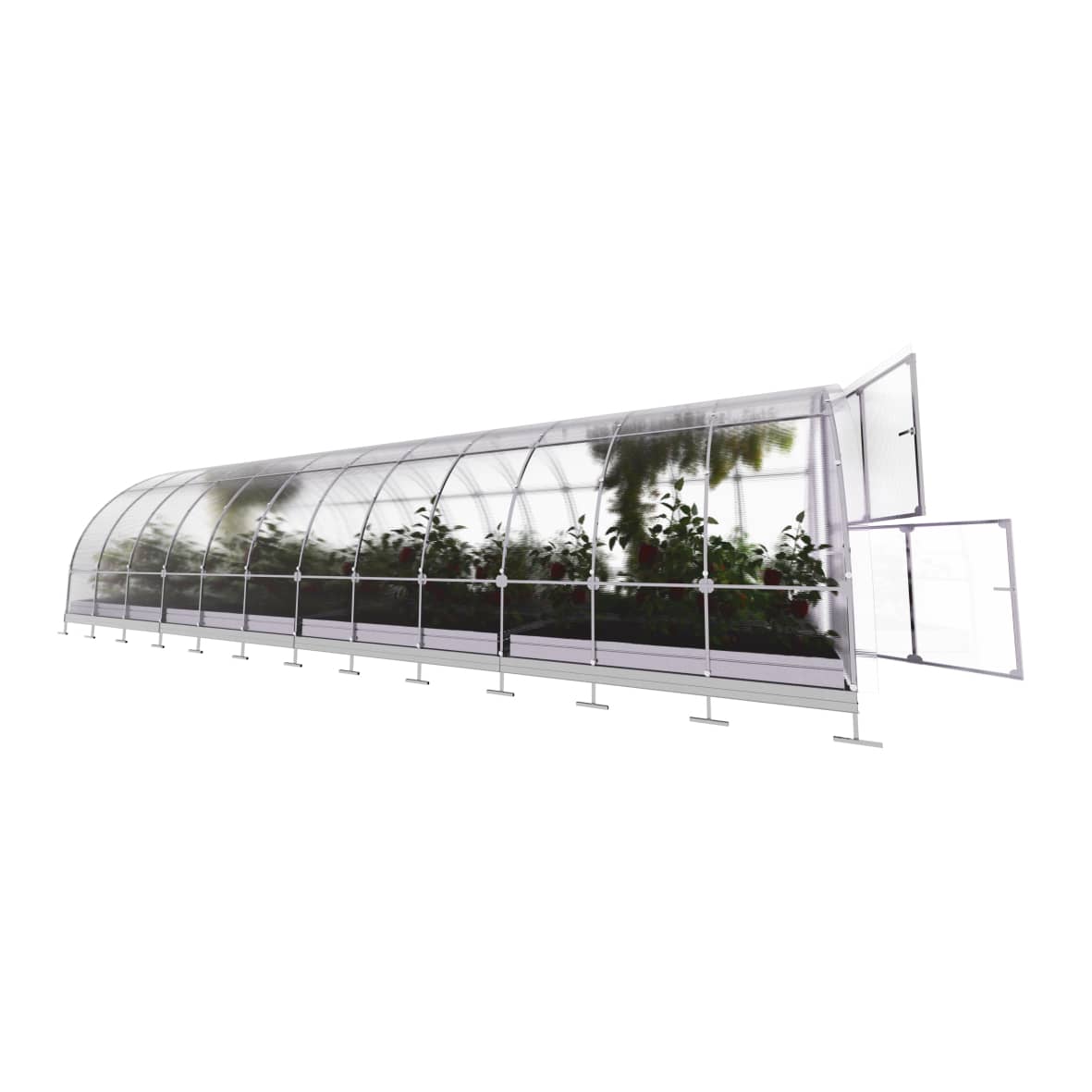 Arkinis šiltnamis KLASIKA TUBE, 6 mm polikarbonato danga, 3 x 8 m, 24 kv.m - 5
