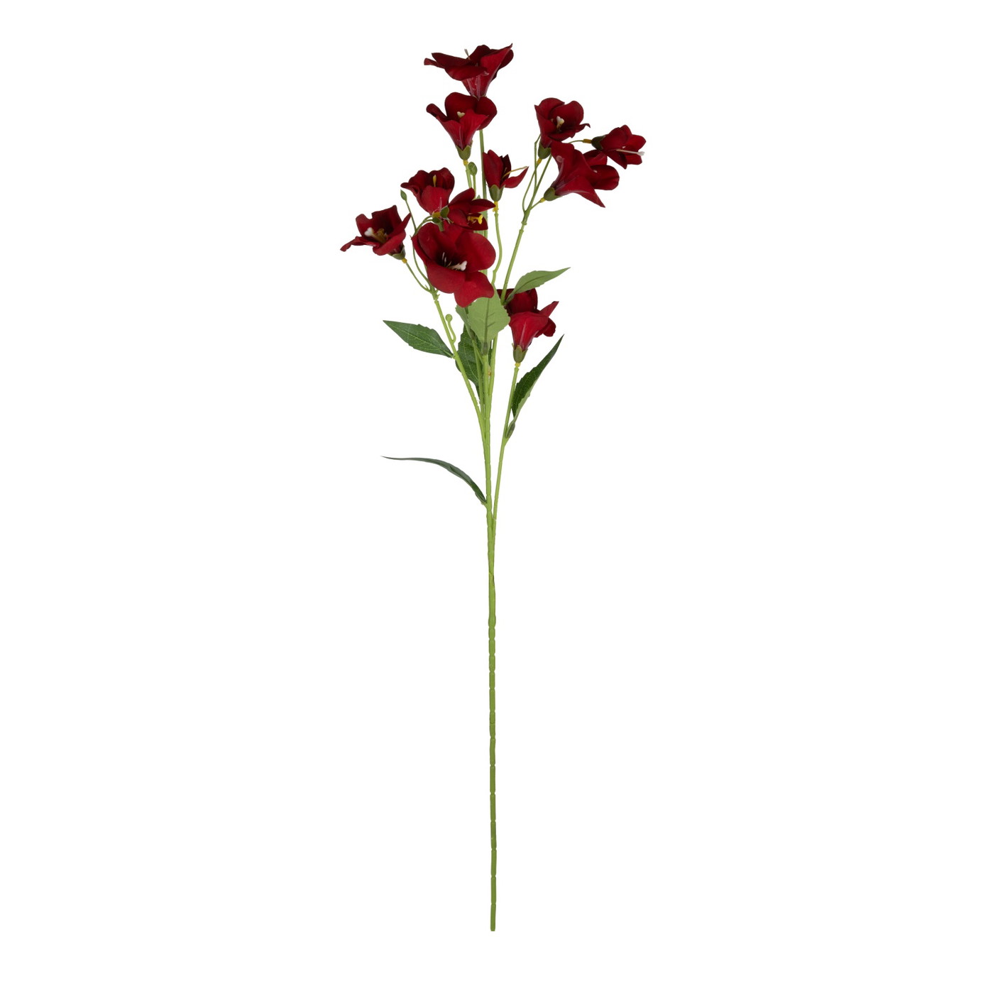 Dirbtinių gėlių puokštė ILAJA Phlox, 4 spalvų, 75 cm-1