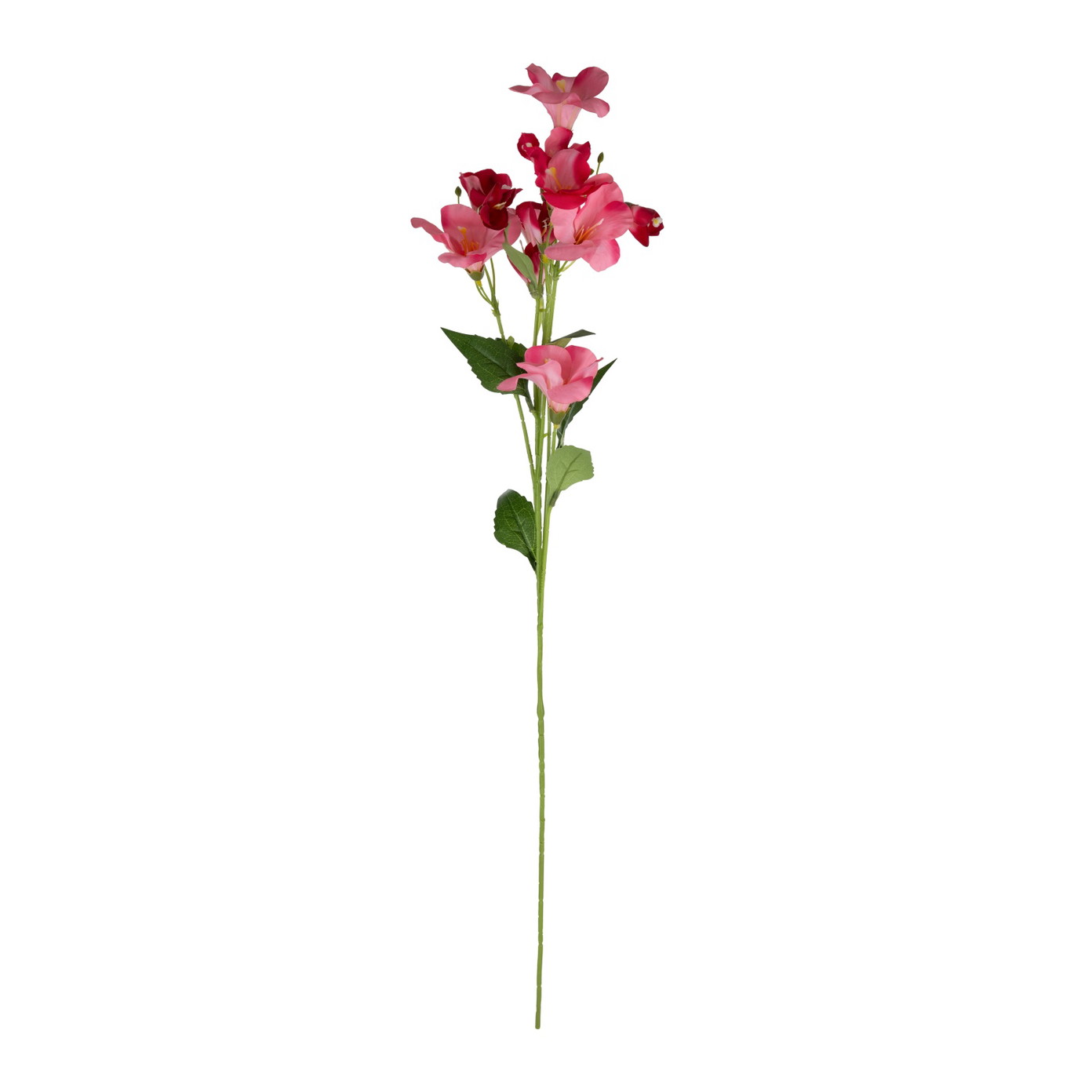 Dirbtinių gėlių puokštė ILAJA Phlox, 4 spalvų, 75 cm - 4