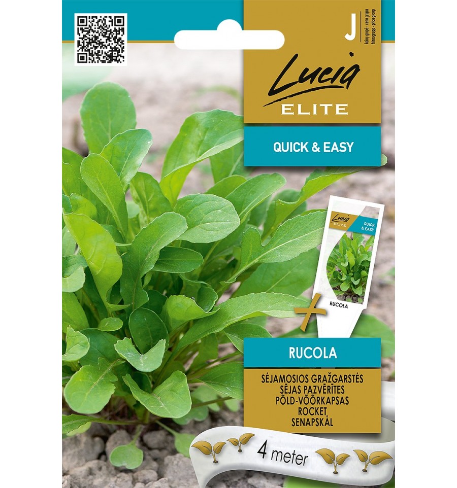 Sėjamosios gražgarstės sėklos juostoje RUCOLA, 4 m-0