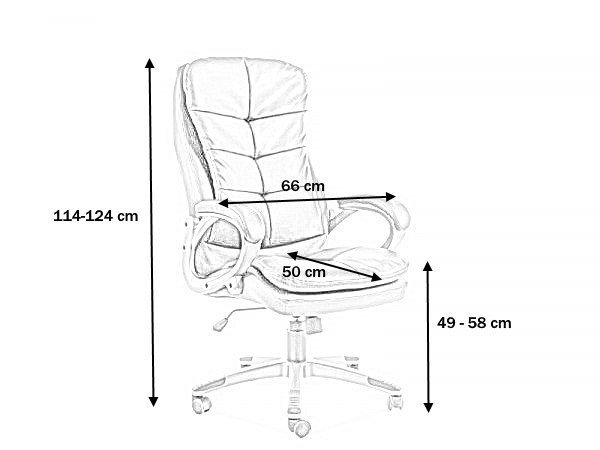 Biuro kėdė Q-270, judos sp., odos pakaitalas - 2