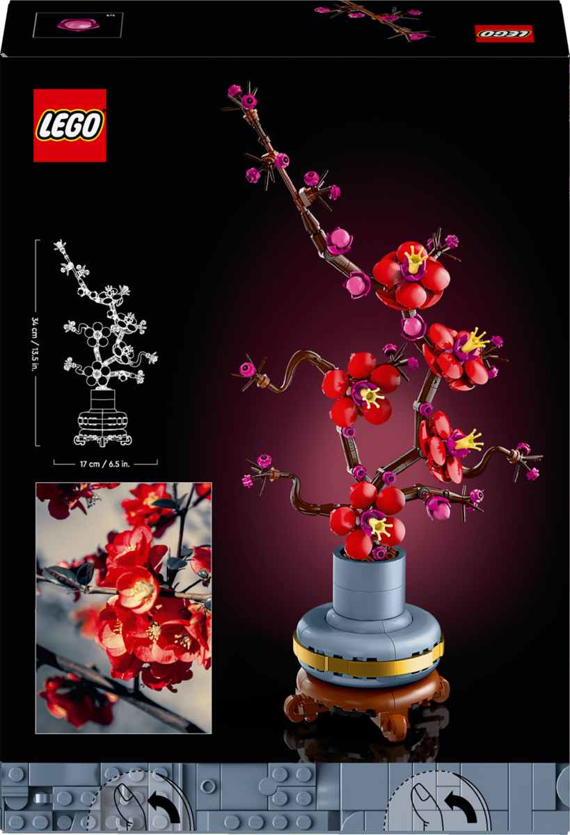 Konstruktorius LEGO Botanicals Plum Blossom, 10369 - 6