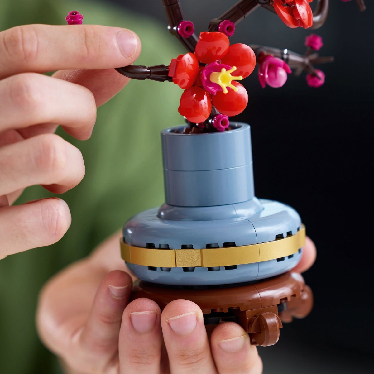 Konstruktorius LEGO Botanicals Plum Blossom, 10369 - 4
