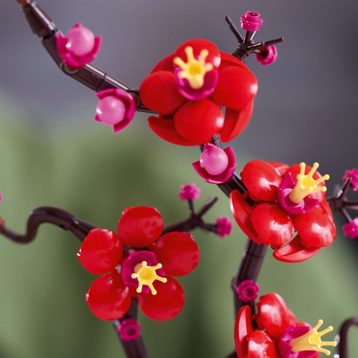 Konstruktorius LEGO Botanicals Plum Blossom, 10369 - 5
