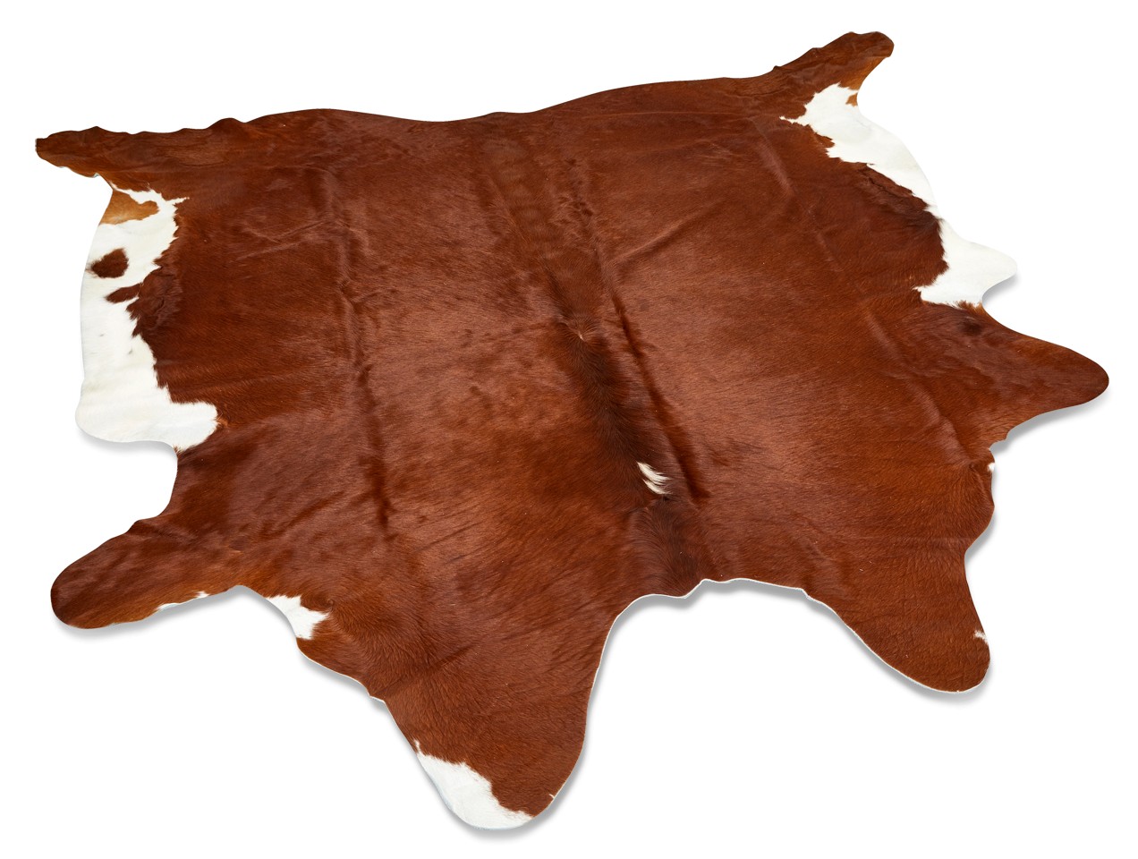 Jaučio kailio kilimas NARMA COWHIDE SELECTION MAXI, 3-4 m2, 100% kailio - 4
