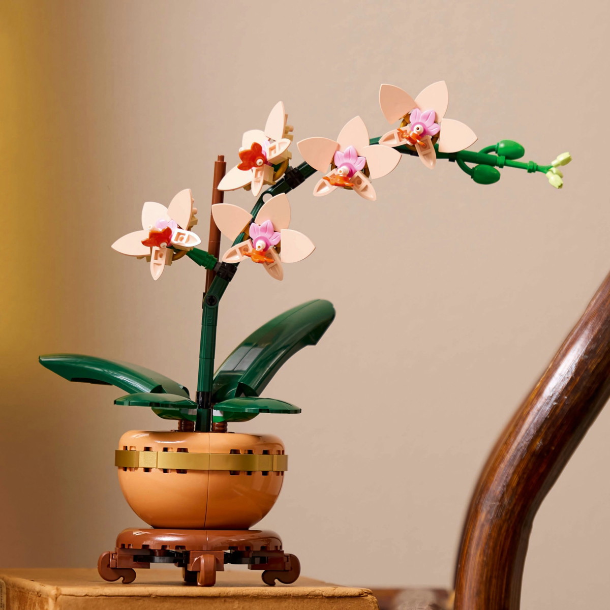 Konstruktorius LEGO® Botanicals Mini Orchid, 10343 - 4