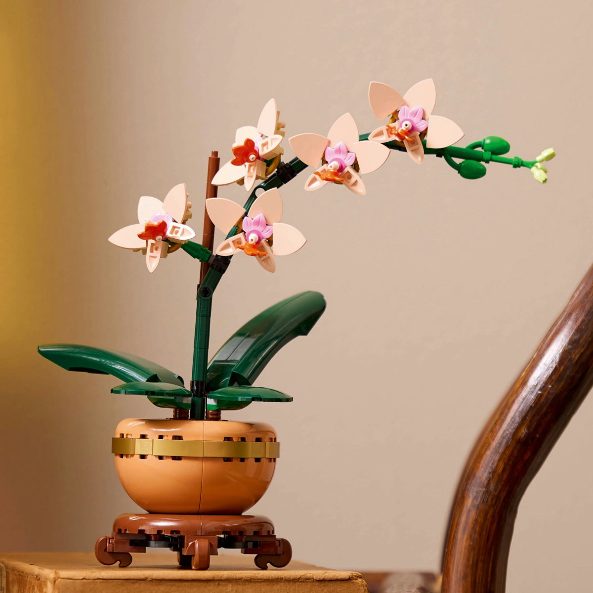 Konstruktorius LEGO® Botanicals Mini Orchid, 10343 - 4