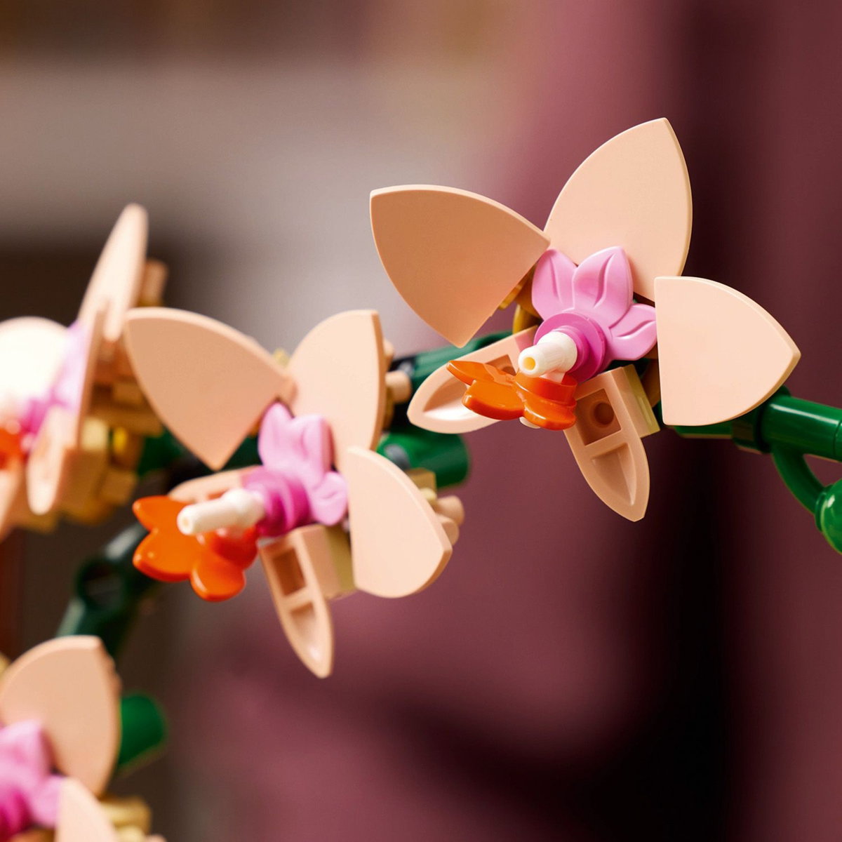 Konstruktorius LEGO® Botanicals Mini Orchid, 10343 - 5