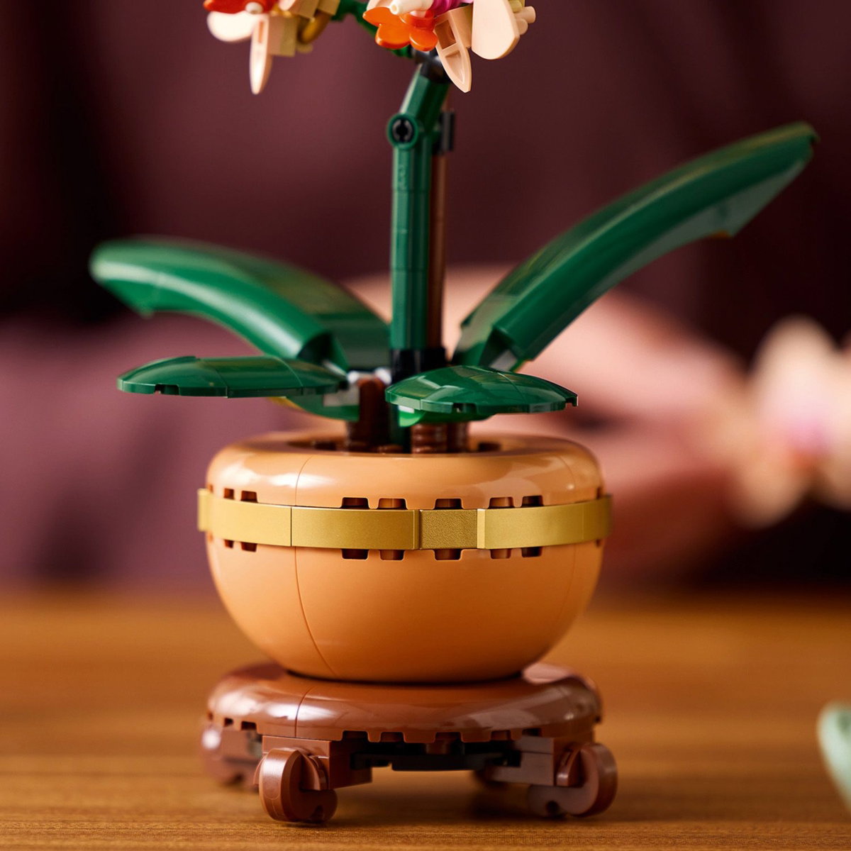 gallery#101 (Sl：2648s/253s)　限定BOX EGOIST Konstruktorius LEGO® Botanicals Mini Orchid, 10343 - ermitazas.lt