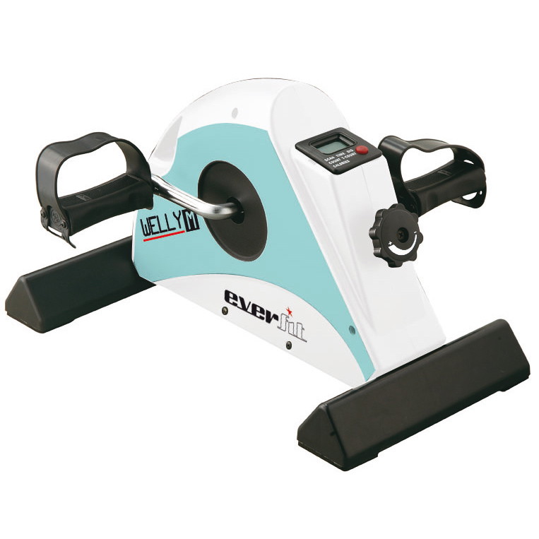 Dviratis treniruoklis EVERFIT mini WELLY-M-0