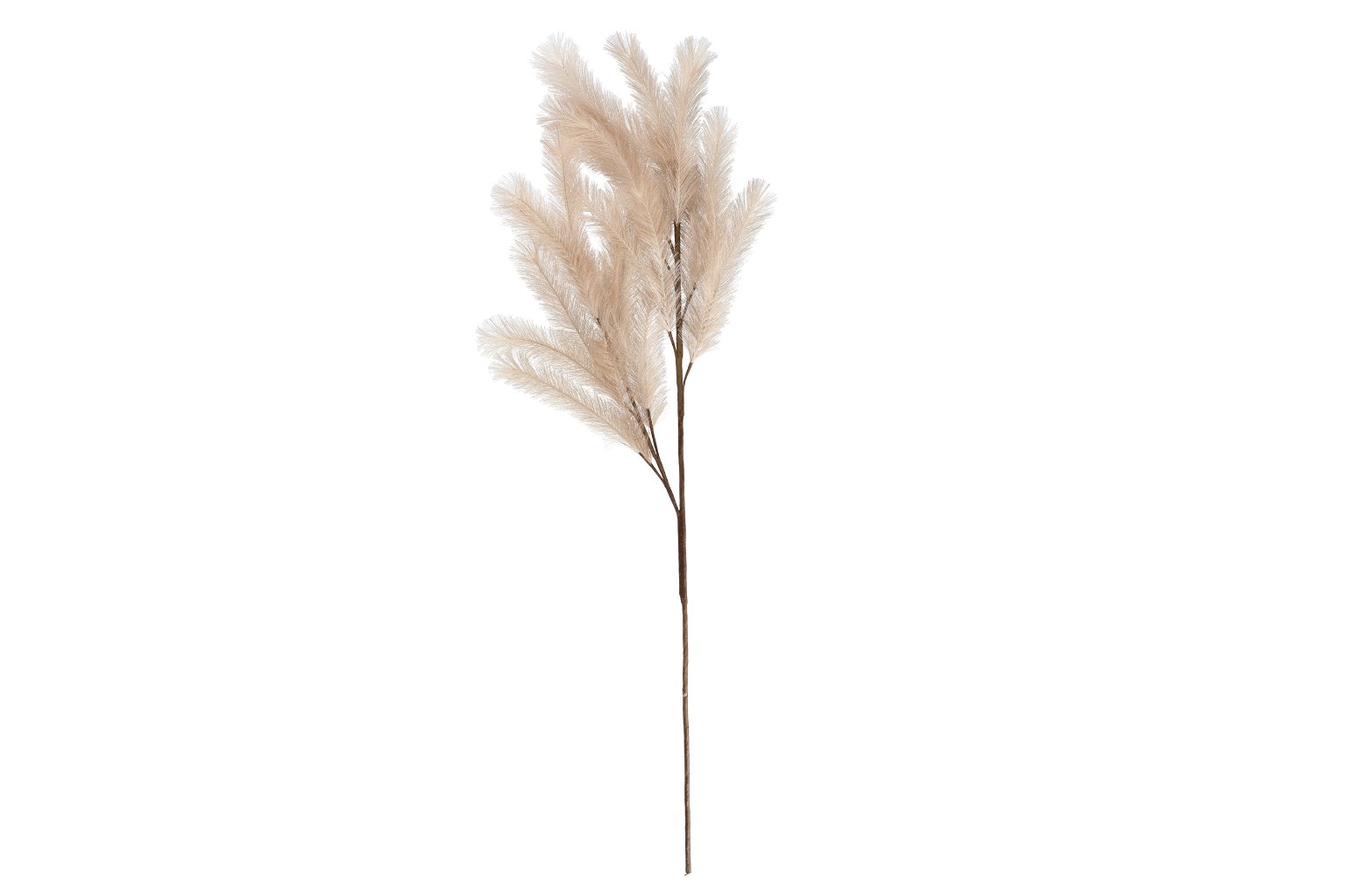 Dirbtinė gėlė GRASS BROWN, 115 cm