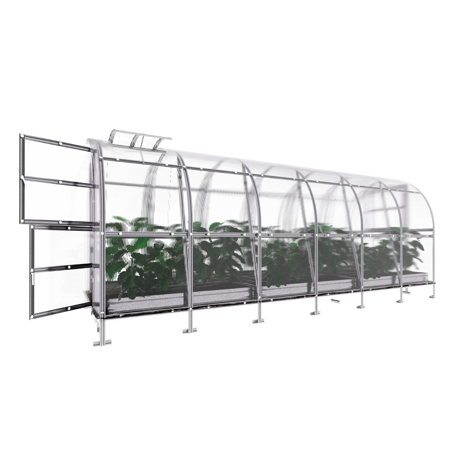 Šiltnamis KLASIKA SLIM, 6 mm polikarbonato danga, 2 x 6 m, 12 kv.m - 6