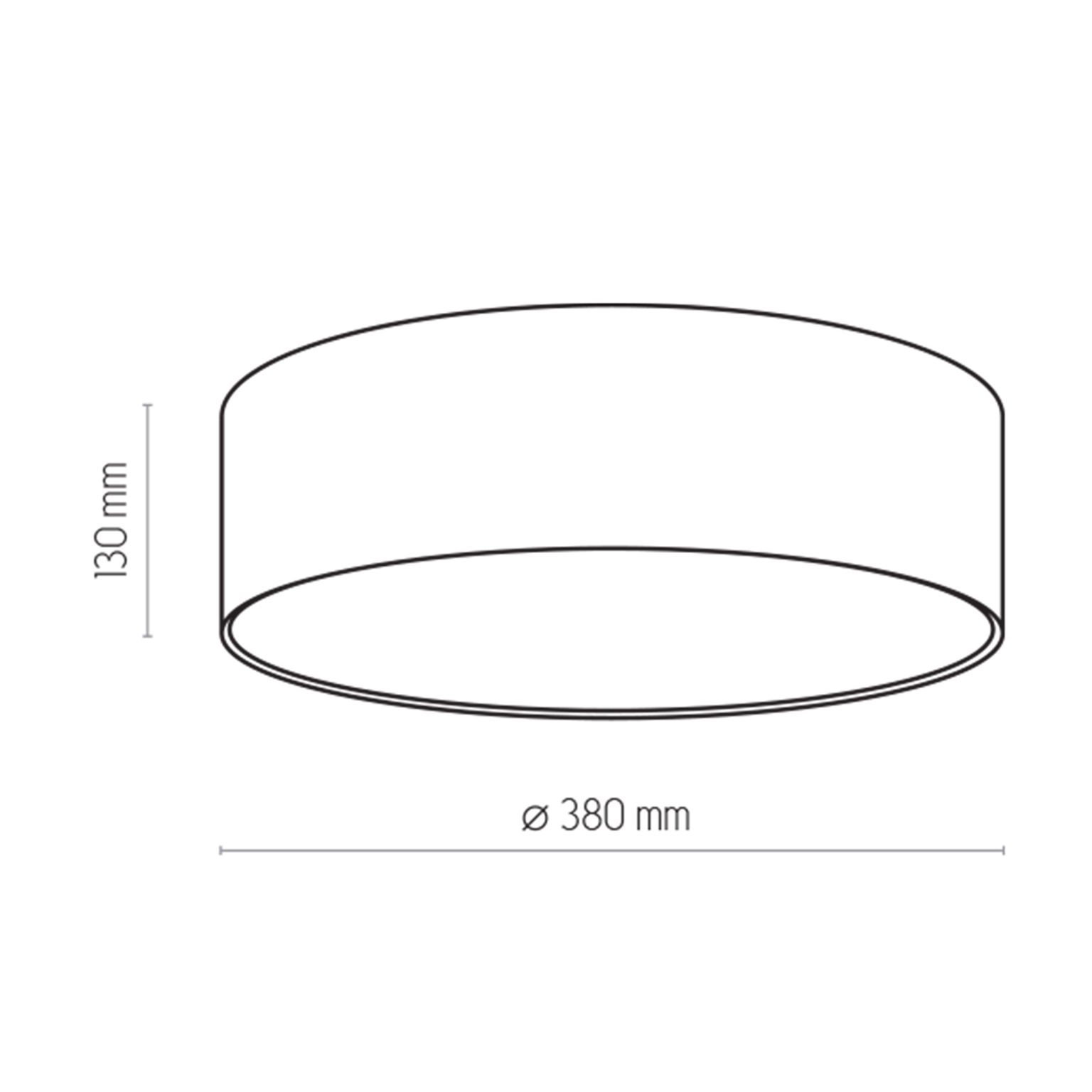 Vaikiškas lubinis šviestuvas TK LIGHTING RONDO KIDS 4, 4xE27  LED 15W, mėlynas-2