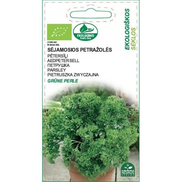 Sėjamųjų petražolių sėklos GRUNE PERLE, 1 g-0