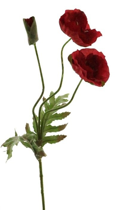 Dirbtinė gėlė Aguona raudonos sp., 70 cm