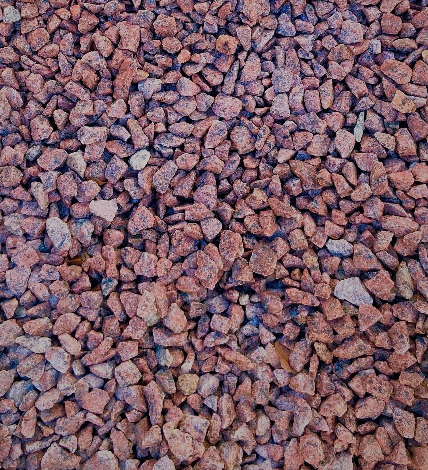 Skalda VANGA, raudonos sp., 10-20 mm, 20 kg-1