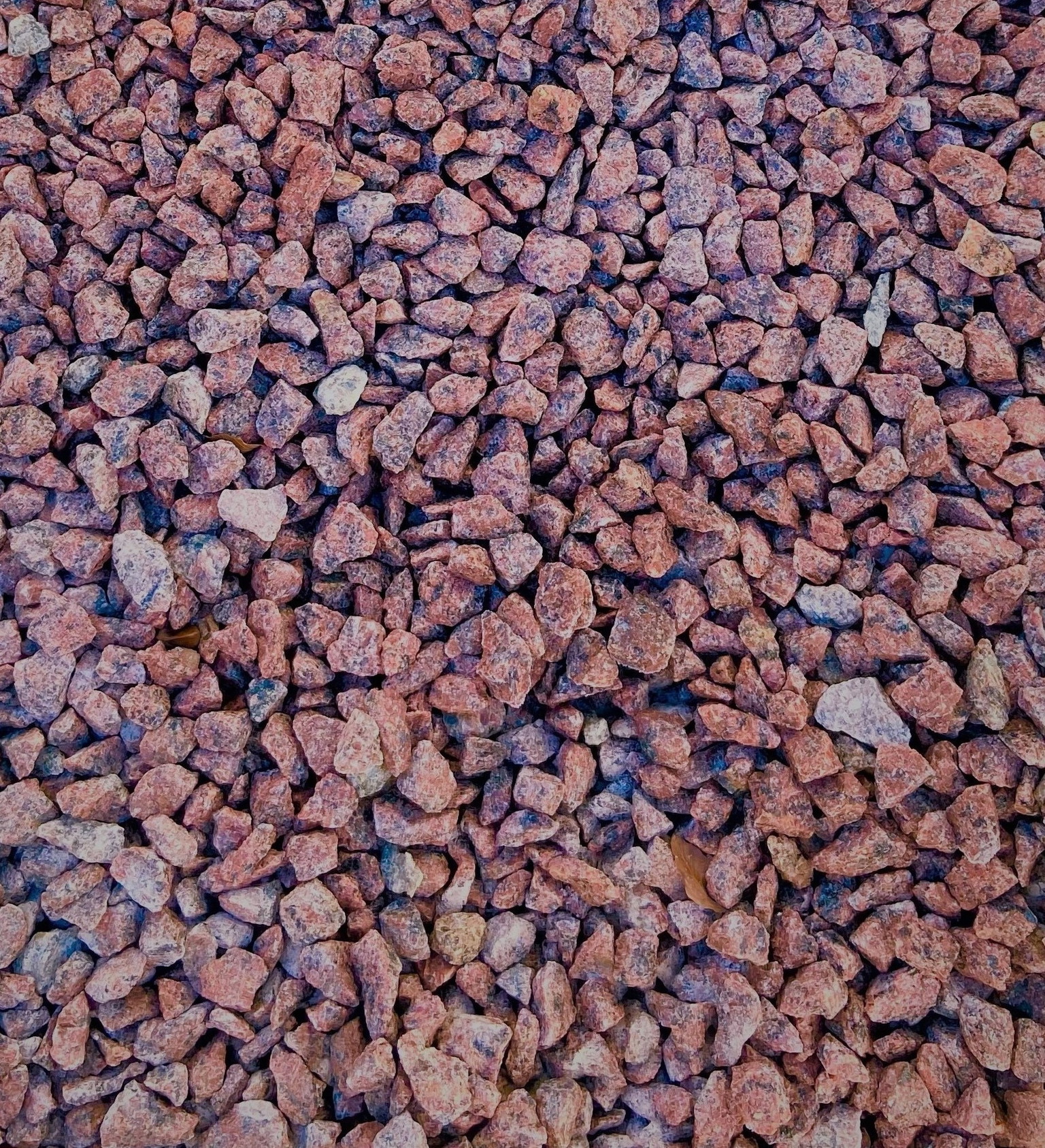 Skalda VANGA, raudonos sp., 10-20 mm, 20 kg-1
