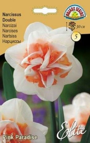 Narcizų svogūnėliai, lot. Narcissus Pink Paradise, 5 vnt.