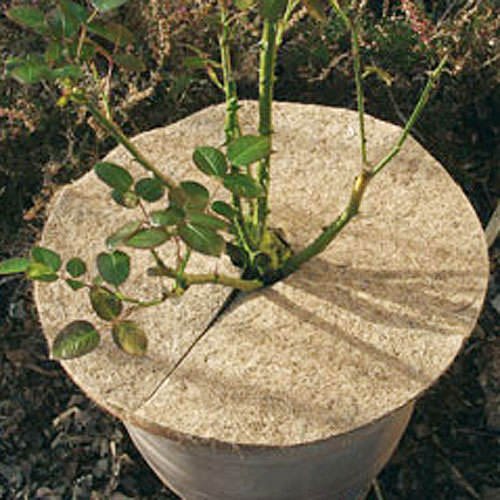 Augalų apsauga nuo šalčio, Ø 45 cm - 2