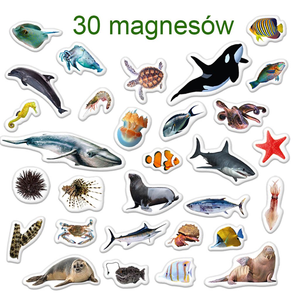Magnetų rinkinys Jūros gyvūnai - 5