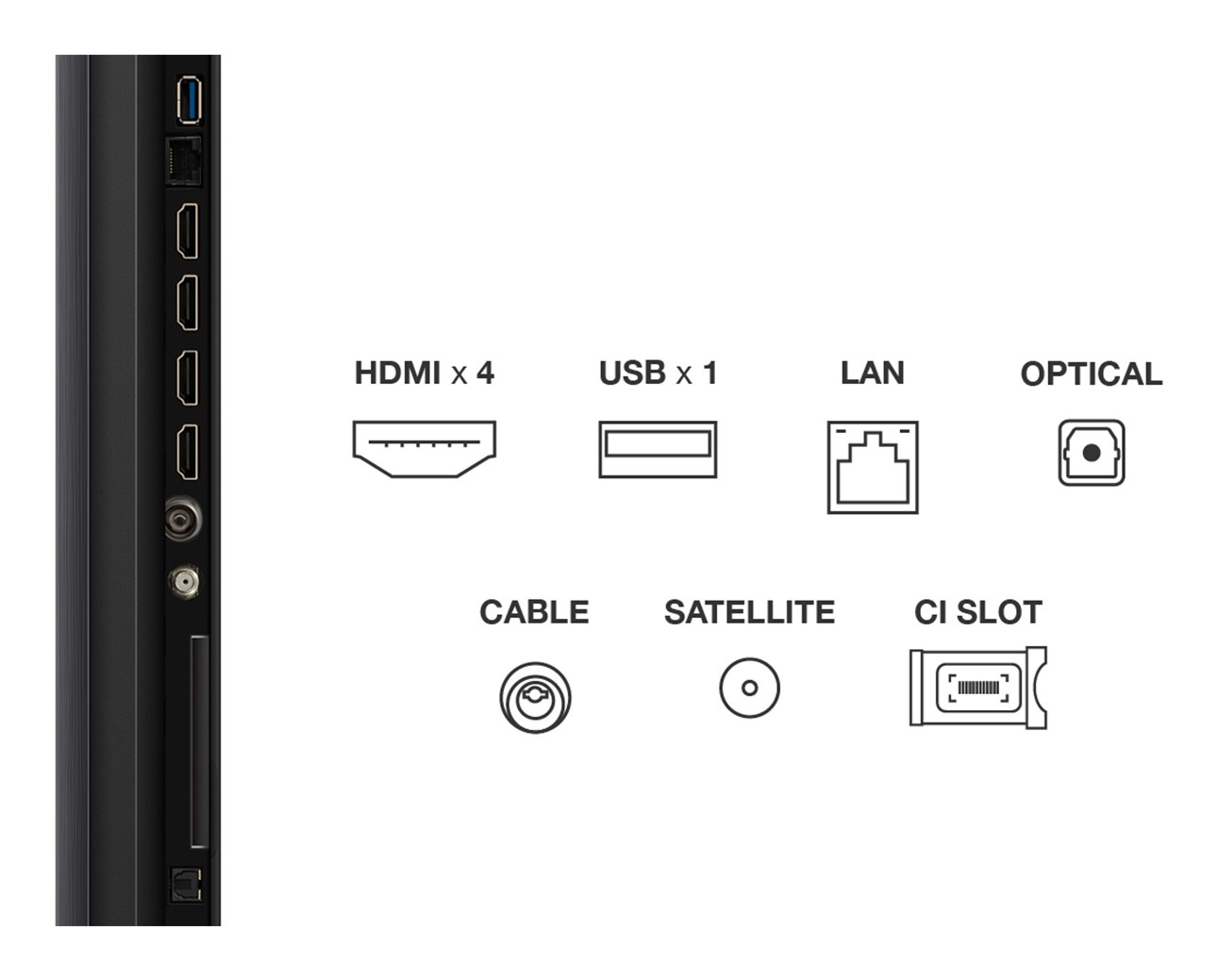 Televizorius TCL 55Q6C, QD-Mini LED, 55", 4K UHD - 5